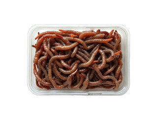 Countless fishing worms inside a clear plastic box on a isolated transparent background.