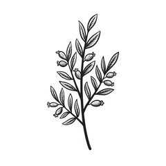 leaf flower handdrawn