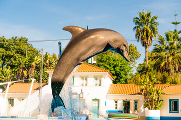 Fototapeta premium Dolphin Jumping from Pool During Show at Marine Park