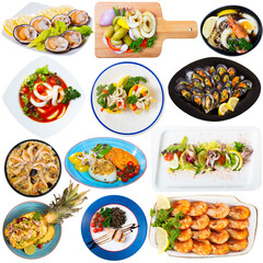 Tasty dishes with shrimps, calamari, squid and conchiglie isolated on white background....