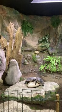 Aquarium de Touraine, Lussault-sur-Loire, France