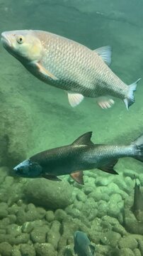 Aquarium de Touraine, Lussault-sur-Loire, France