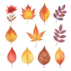 Fall-inspired botanical composition featuring assorted foliage and seasonal blooms arranged for clean minimalist visuals