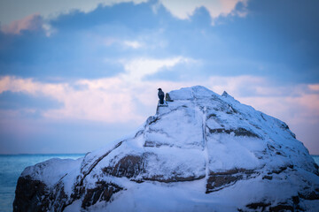 Iles Lofoten, Norv&egrave;ge