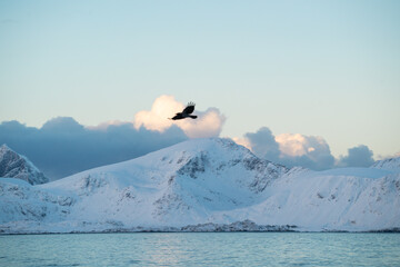 Iles Lofoten, Norv&egrave;ge