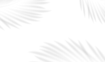 Realistic transparent shadow from leaves of palm tree isolated on transparent background. Mockup with tropical leaves shadow overlay effect. Vector illustration