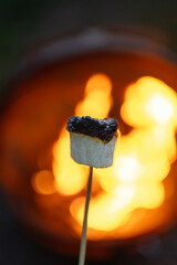 A burnt Marshmallow in front of a bonfire 