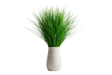 Green grass in a modern vase, perfect for home decor and enhancing interior spaces with a fresh touch.