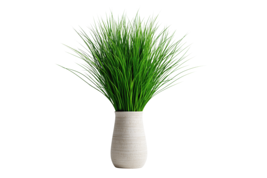 Green grass in a modern vase, perfect for home decor and enhancing interior spaces with a fresh touch.