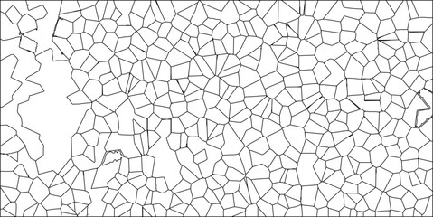 Abstract black and white cellular pattern depicting a network of geometric shapes and irregular polygons for graphic design