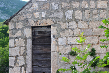 Fototapeta premium Old traditional Mediterranean cottage, covered with plants and flowers.