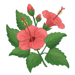 Cute Red Hisbiscus Flower With Stones