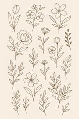 Floral Elements Graphic Web Design Set Beauty Fashion