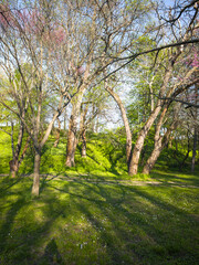 Roman fortifications in town of Hisarya, Bulgaria