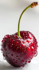 cherry on a white background
