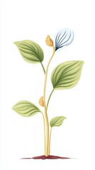 Botanical Illustration Watercolor Precision, Botanical Illustration of a Sprouting Plant with Green Leaves and Buds