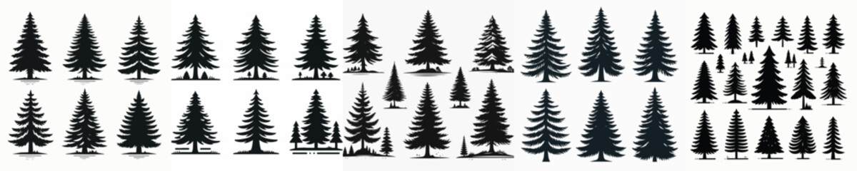 Vector set image silhouette of pine tree.