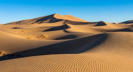 Desert Landscape: Endless Possibilities, Adventure, and the Pursuit of Dreams