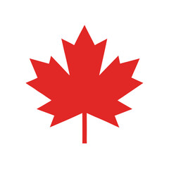 maple leaf Canadian flag, Red maple leaf icon on white background