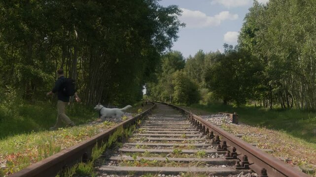 A man with his dog is crossing the railway tracks, walking to the other side