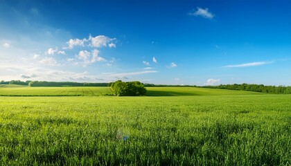 verdant field meets clear blue sky in a serene landscape showcasing nature s harmony horizon view