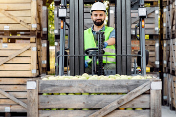 Distribution of fruits and food. Truck is loaded with containers full of apples, ready to be sent to market. Young guy in helmet drives forklift truck lifts up fruit, on many wooden boxes background