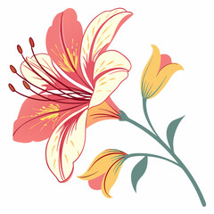 colorful flower vector illustration