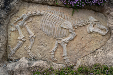 A demonstration of the discovery of a prehistoric hippopotamus skeleton in stone.
