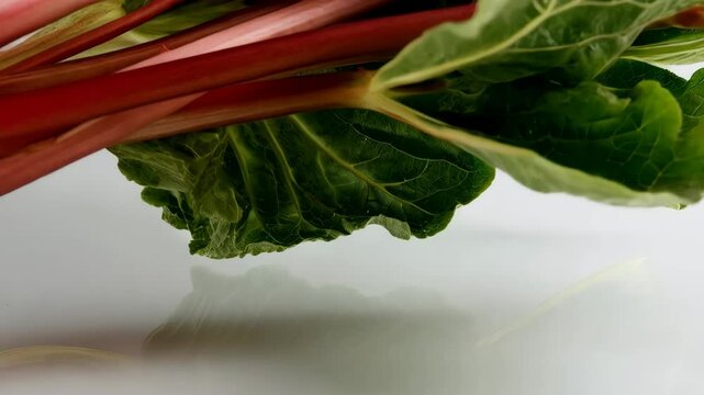Fresh rhubarb stalks and leaves close up, displaying vibrant pink and green hues, healthy eating and a farmers market bounty.