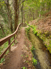 Levadas de Jugueiros. A narrow dirt path with a wooden railing runs alongside a clear water channel, a Levada, winding through a lush green forest in Jugueiros, Felgueiras, Portugal