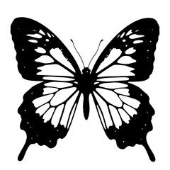 A black and white illustration of a butterfly, showcasing intricate wing details.