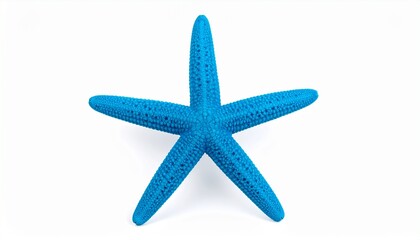 Obraz premium starfish, ocean, sea, marine, beach, aquatic, underwater, animal, wildlife, blue, nature, tropical, isolated, white, background, seaweed, shell, coral, sand, water, summer, exotic, creature, natural, 