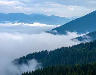 Obraz premium Misty Mountains and Pine Forest