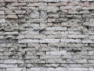 background in the form of a brick wall painted white. place for text, advertising, congratulations