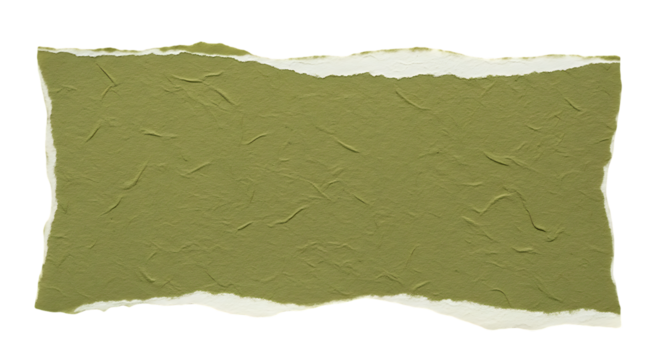 Torn Edge of Olive Green Paper with Textured Surface Isolated on Black Background for Graphic Design and Collage