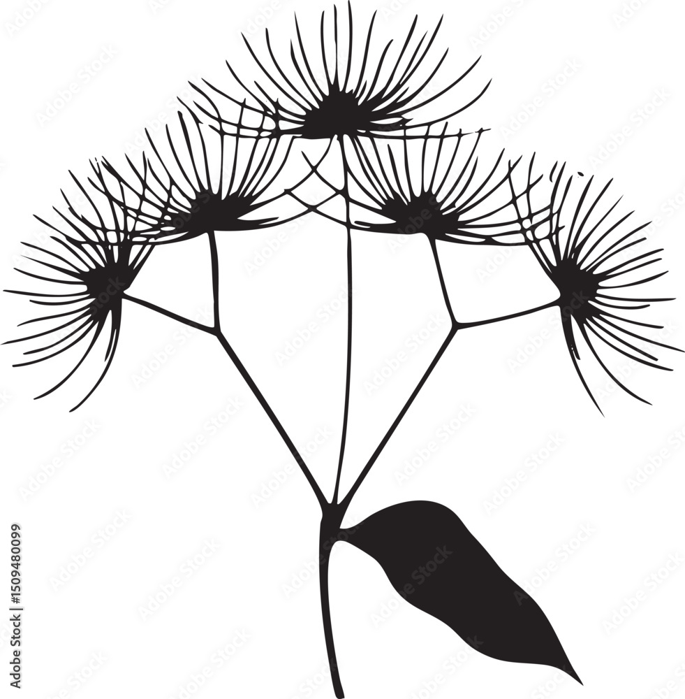 Poster delicate branch displays a cluster of small intricate seed pods.