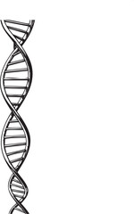 vertical sketch of a double helix DNA structure dominates the frame.