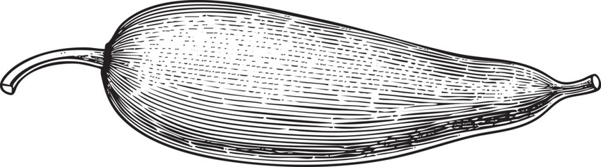 detailed black and white of a elongated pepper.