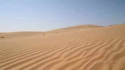Scenic Rippled Sand Dunes in Desert Landscape