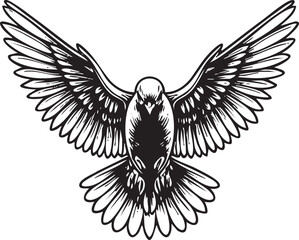 Fototapeta premium stylized black and white of a soaring hawk in flight.