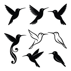 Humming bird Silhouette Vector Illustration on white background