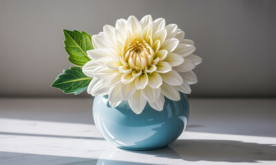 A close-up photograph of a single white dahlia flower in a light blue ceramic vase .