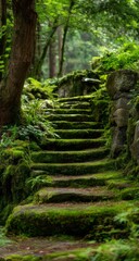 Moss Covered Stone Steps in a Lush Green Forest