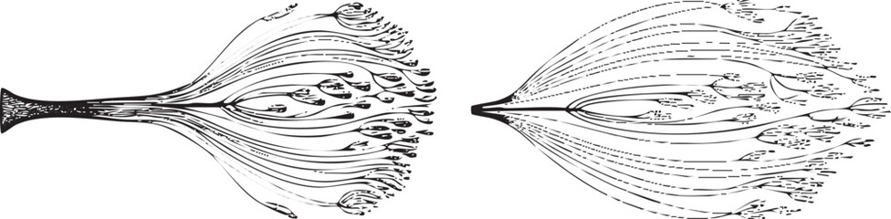 Two symmetrical lines diverge outwards from a central point creating intricate branching .