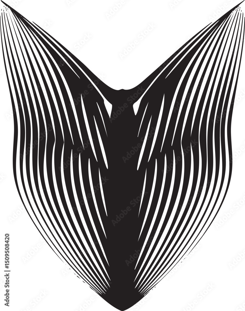 Poster striking black and white featuring a dynamic undulating shape with radiating lines.