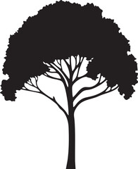stark silhouette of a mature tree stands against a white background.