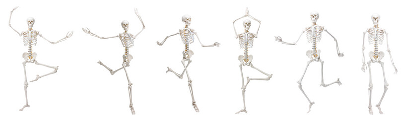 Artificial human skeleton model in different poses isolated on white, set
