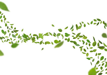 Obraz premium Fresh green leaves in air on white background