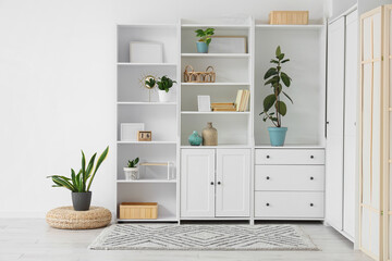 Closet with books, frames and plants in room