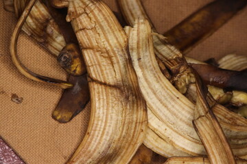 Banana Peels Close Up